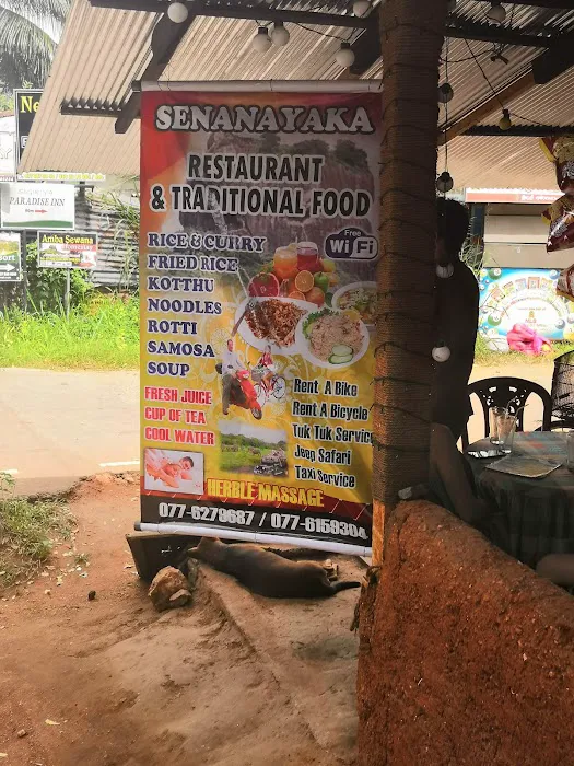 Senanayaka Picture 6