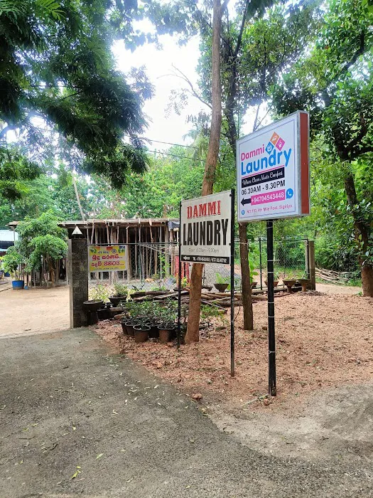 Dammi Laundry Picture 3