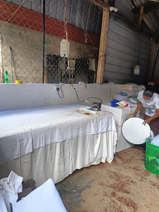 Dammi Laundry Picture 8