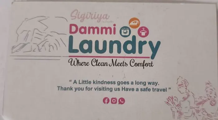 Dammi Laundry Picture 5