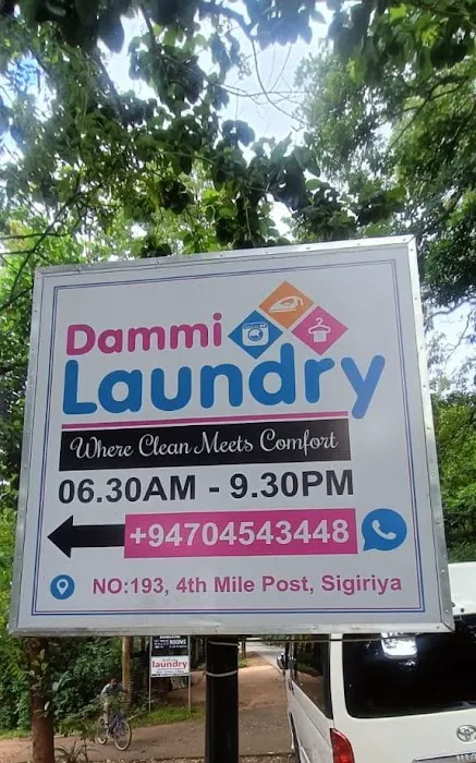 Dammi Laundry Picture 7