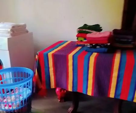 Sigiri Super Shine Laundry