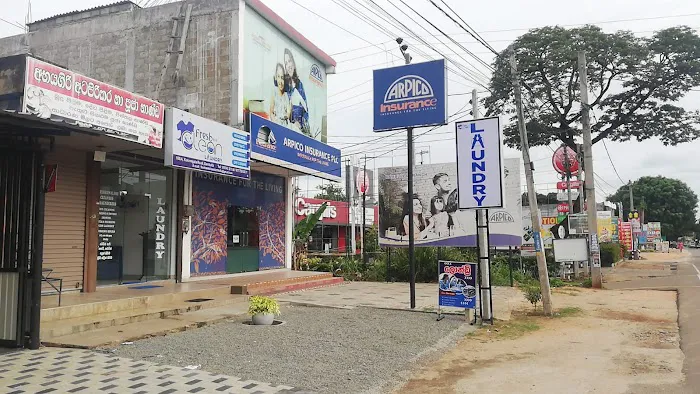 Fresh and Clean Laundry Picture 5