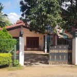 Ceylon Organic Batik (Natural )