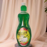 LOTUS LAUNDRY CHEMICALS ico