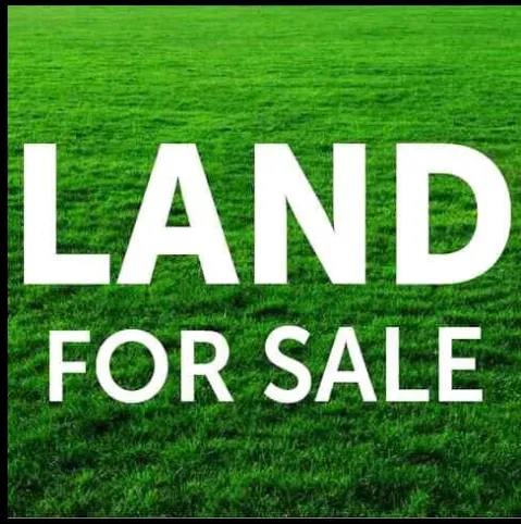 land sale Picture 8
