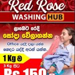Red Rose Washing Hub🌹