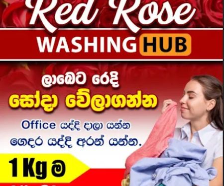 Red Rose Washing Hub🌹