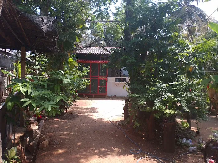 Sea & shine Laundry Picture 4