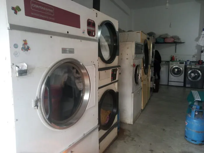 Wash Master Picture 2