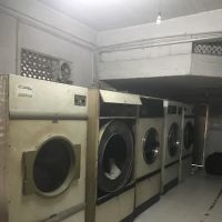 Queens Laundry - Gatambe ico