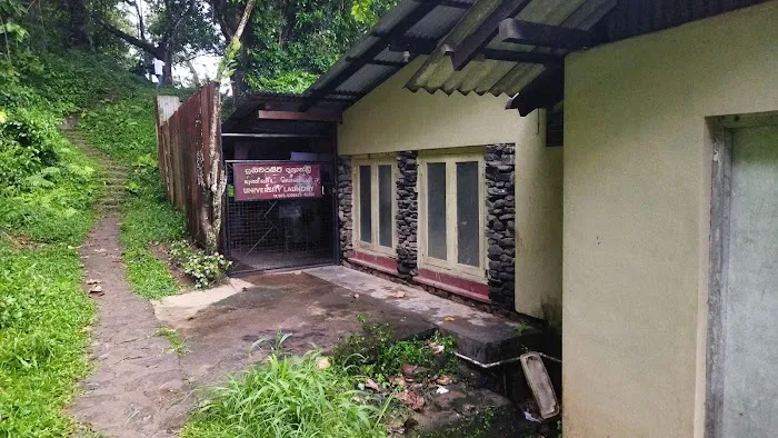 University Laundry Picture 3