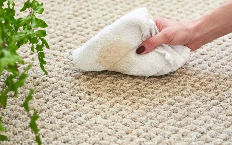 Quick Ways to Remove Oil Stains From Wool Sweaters