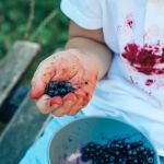 Tips for Removing Berry Stains From Cotton Pants Quickly